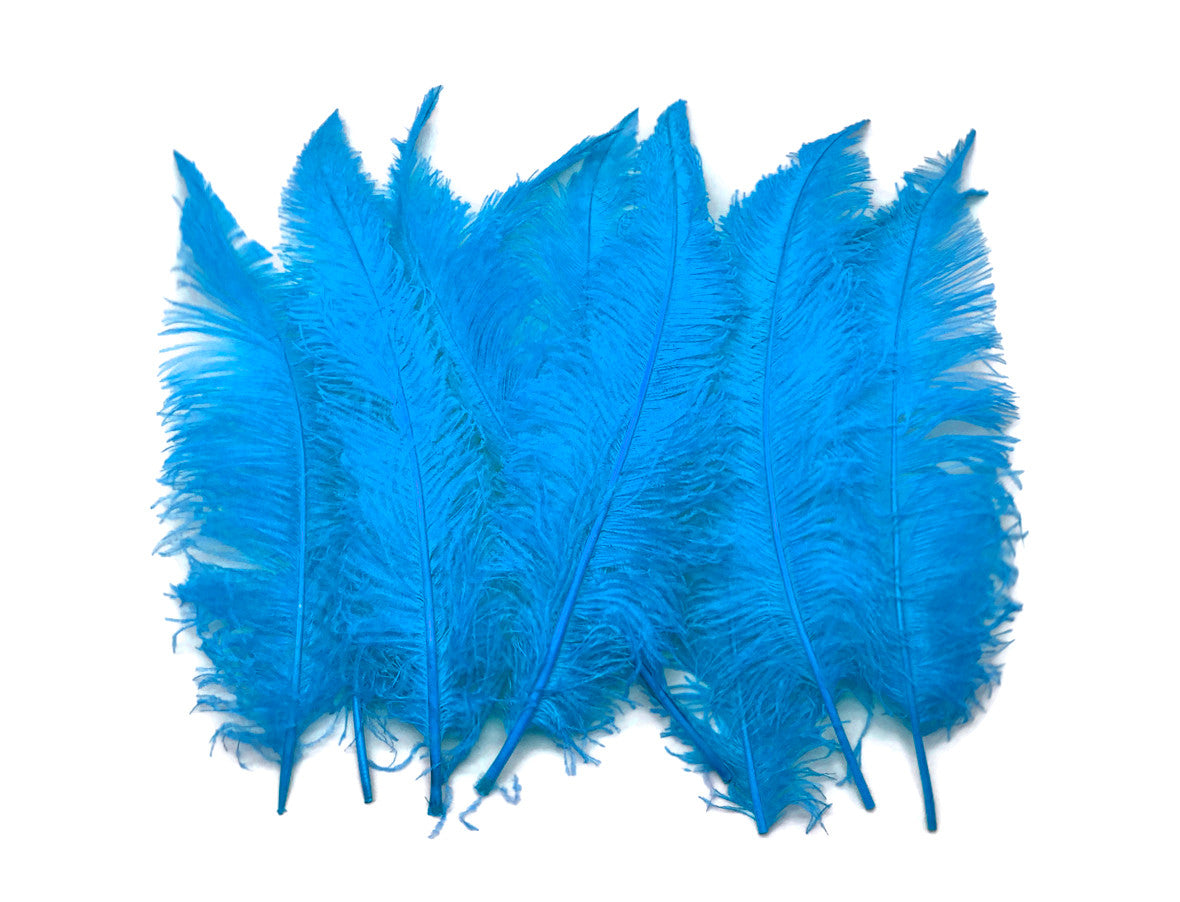 10 Pieces - 20-28" Turquoise Blue Ostrich Spads Large Feathers