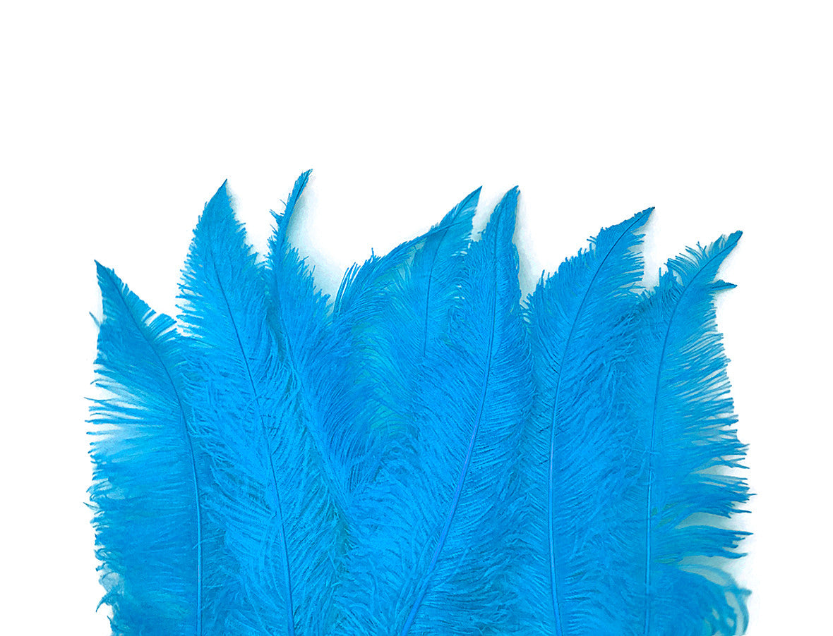 10 Pieces - 20-28" Turquoise Blue Ostrich Spads Large Feathers