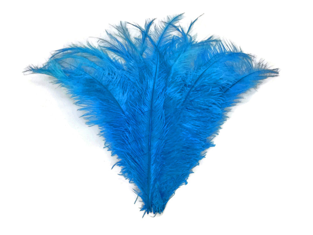 10 Pieces - 20-28" Turquoise Blue Ostrich Spads Large Feathers