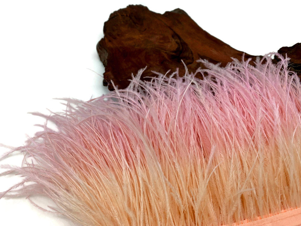 6 Inch Strip - Peach Blossom Ombre Ostrich Fringe Trim Feather