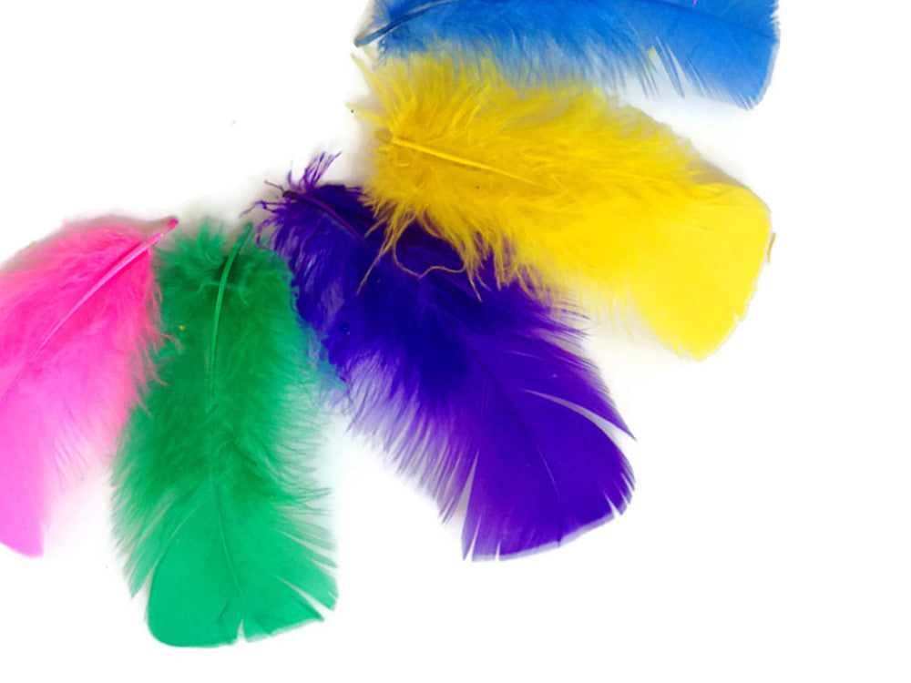 1/4 Lb - Bright Mix Turkey T-Base Plumage Wholesale Feathers (Bulk)