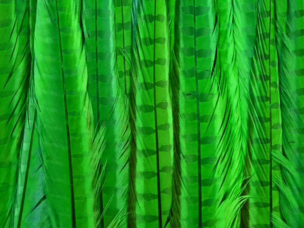 10 Pieces - 18-22" Bright Green Bleached and Dyed Long Ringneck Pheasant Tail Feathers