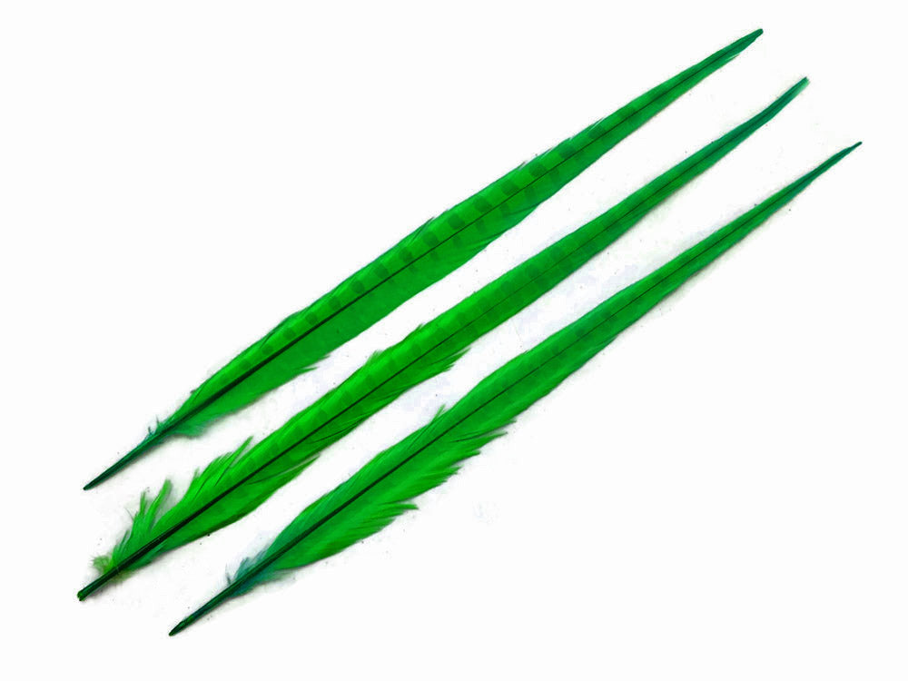 50 Pieces - 18-22" Bright Green Bleached & Dyed Long Ringneck Pheasant Tail Wholesale Feathers (Bulk)