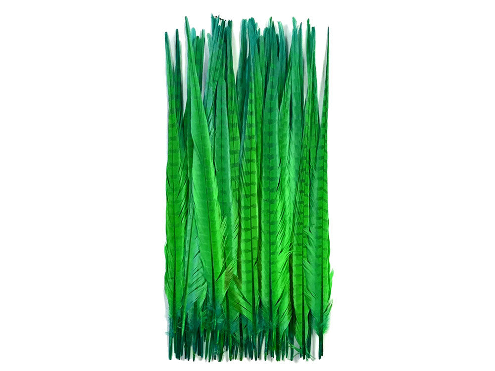 10 Pieces - 18-22" Bright Green Bleached and Dyed Long Ringneck Pheasant Tail Feathers