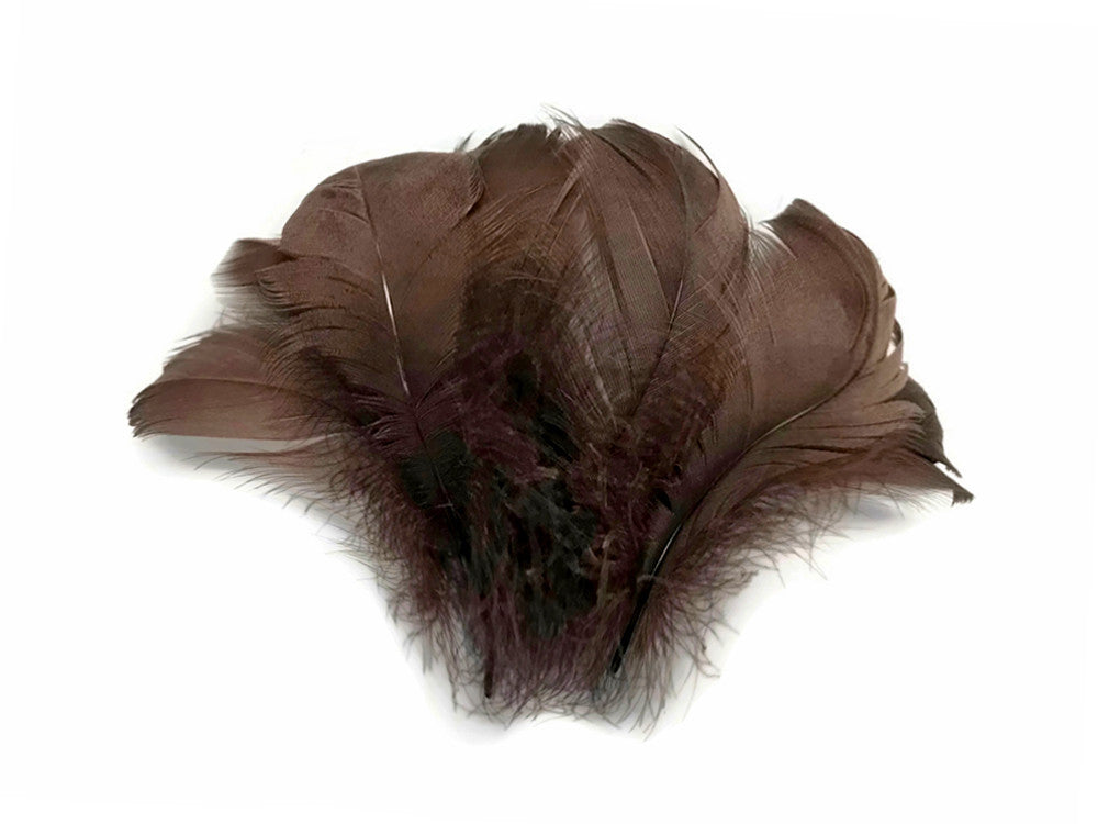 1 Pack - 2-3" Brown Goose Coquille Loose Feathers - 0.35 Oz.