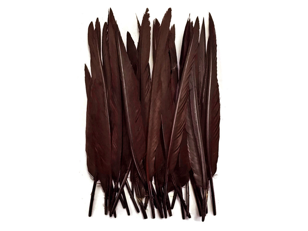 10 Pieces - Brown Goose Pointers Long Primaries Wing Feathers