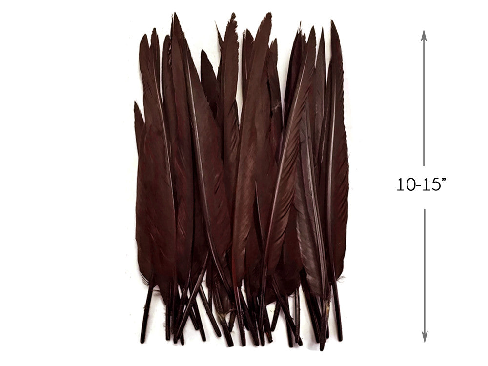 1/4 Lb. - Brown Goose Pointers Long Primaries Wing Wholesale Feathers (Bulk)