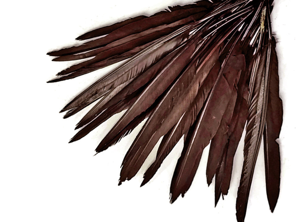 1/4 Lb. - Brown Goose Pointers Long Primaries Wing Wholesale Feathers (Bulk)