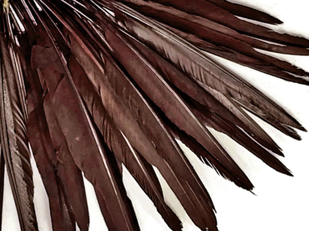 10 Pieces - Brown Goose Pointers Long Primaries Wing Feathers