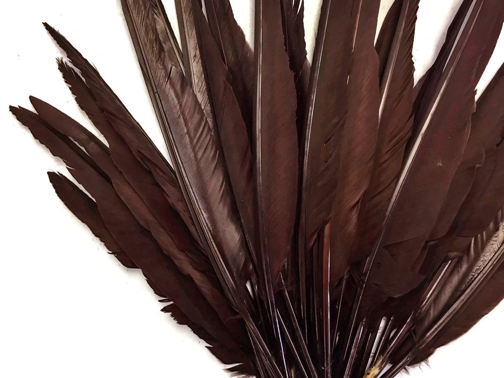 10 Pieces - Brown Goose Pointers Long Primaries Wing Feathers