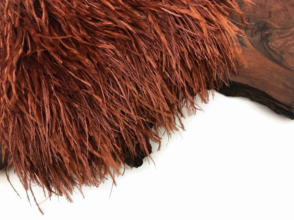 6 Inch Strip - Brown Ostrich Fringe Trim Feather