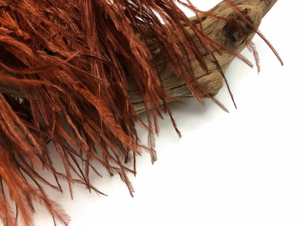 10 Yards - Brown Ostrich Fringe Trim Wholesale Feather (Bulk)