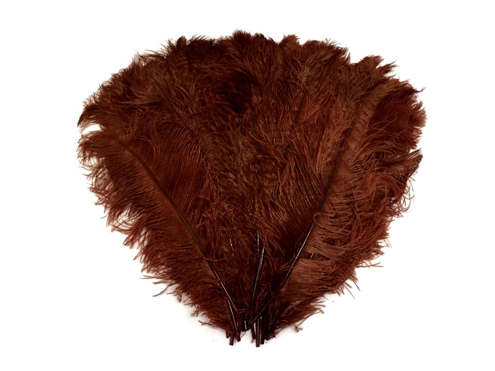 10 Pieces - 18-24" Brown Large Prime Grade Ostrich Wing Plume Centerpiece Feathers