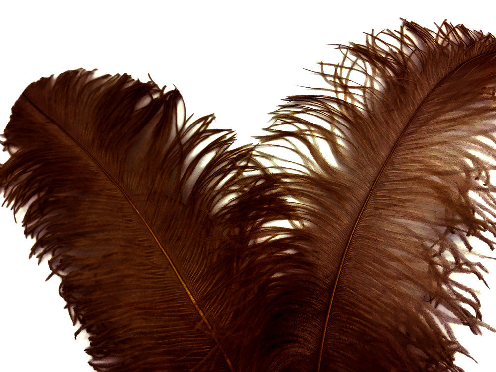 10 Pieces - 18-24" Brown Large Prime Grade Ostrich Wing Plume Centerpiece Feathers