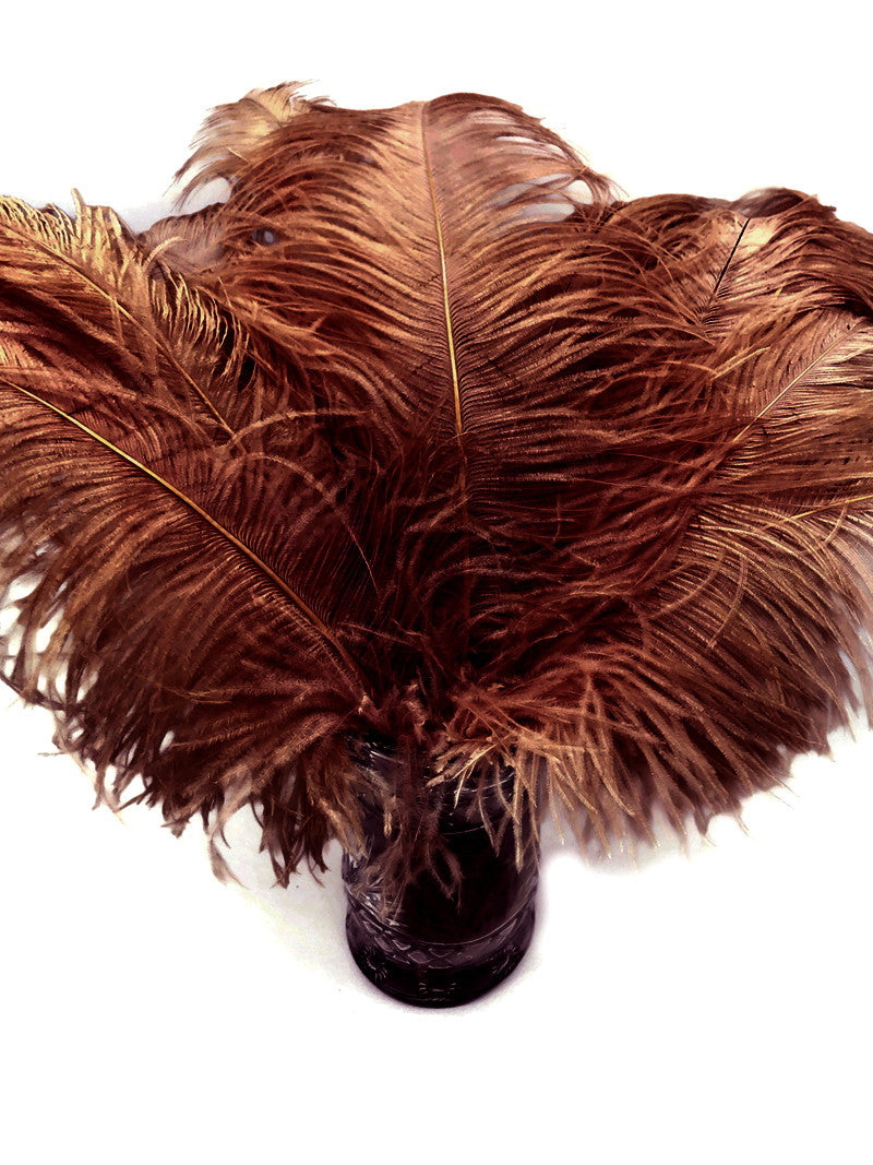 10 Pieces - 18-24" Brown Large Prime Grade Ostrich Wing Plume Centerpiece Feathers