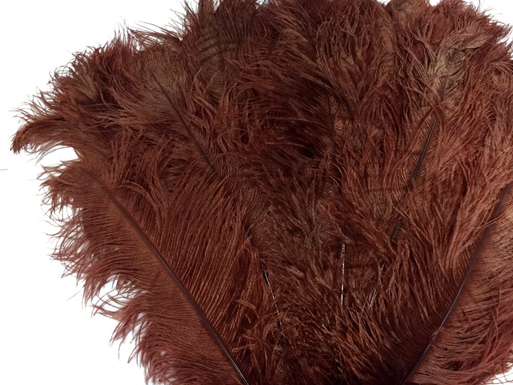 10 Pieces - 18-24" Brown Large Prime Grade Ostrich Wing Plume Centerpiece Feathers