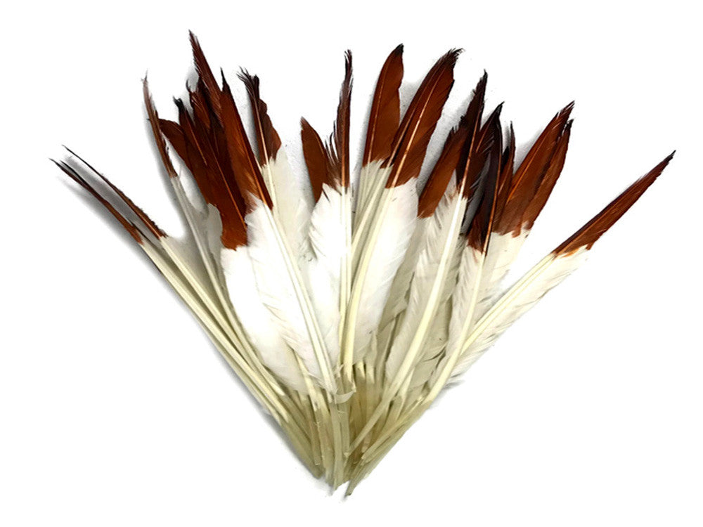 1/4 Lbs - Brown Tipped Duck Pointer Primary Wing Wholesale Feathers (Bulk)