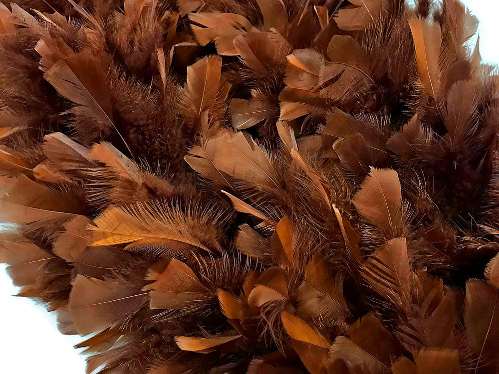 2 Yards - Brown Heavy Weight Turkey Flat Feather Boa, 150 Gram