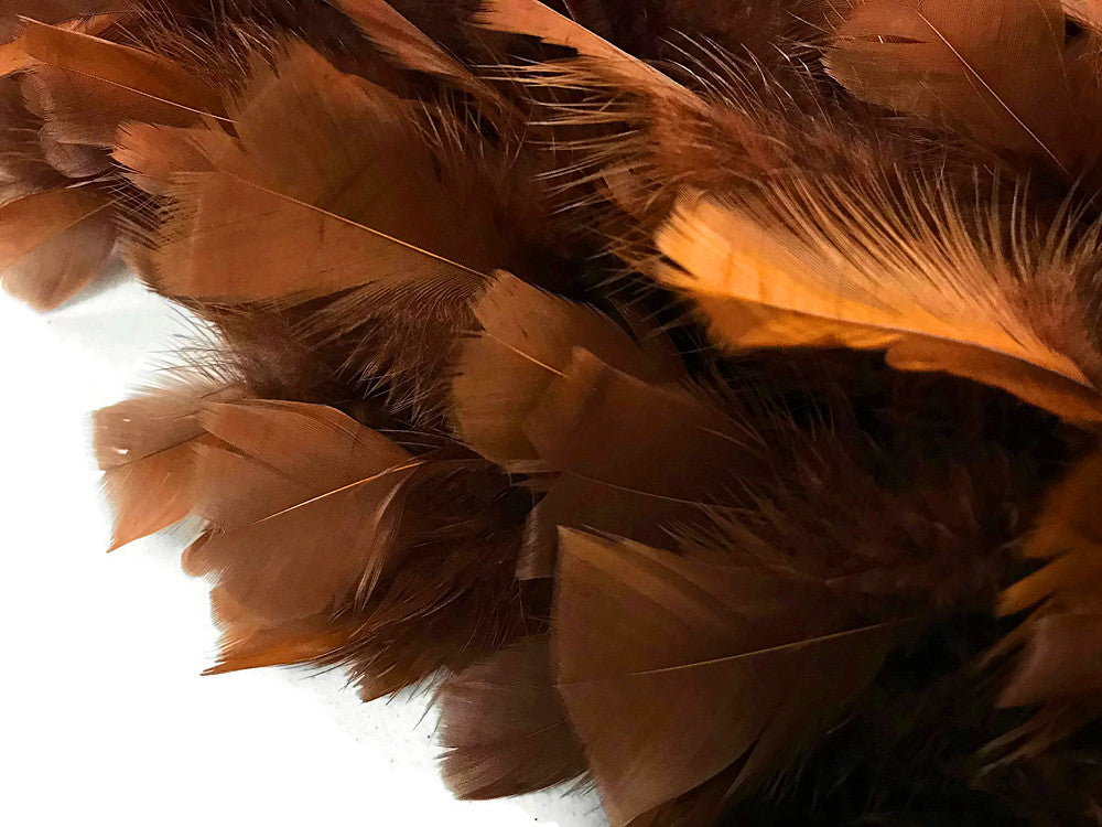 2 Yards - Brown Heavy Weight Turkey Flat Feather Boa, 150 Gram