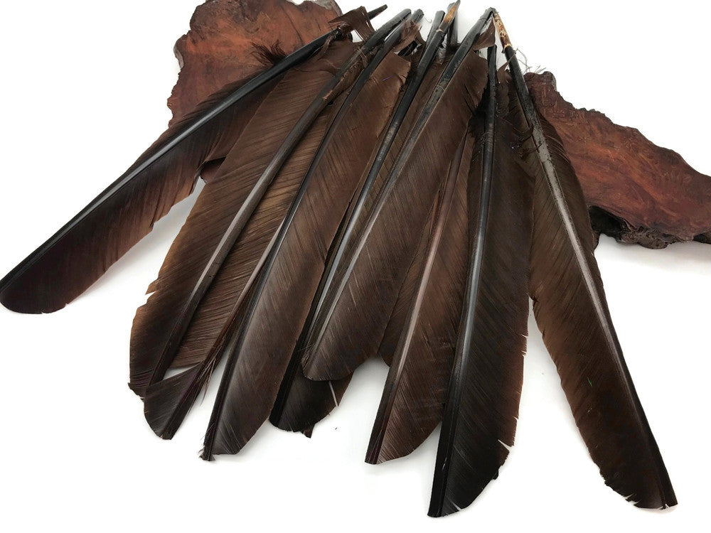 Wholesale Feathers, 1 Lb. - Wine Brown Turkey Rounds Secondary Wing Quill Wholesale Feathers (bulk) fashion Craft Supply : 5060