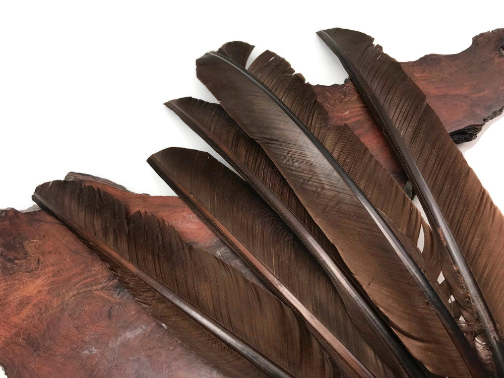 1/4 Lb - Brown Turkey Pointers Quill Large Wholesale Feathers (Bulk)