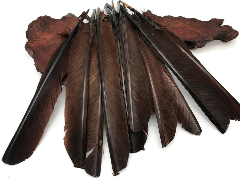 1/4 Lb - Brown Turkey Pointers Quill Large Wholesale Feathers (Bulk)