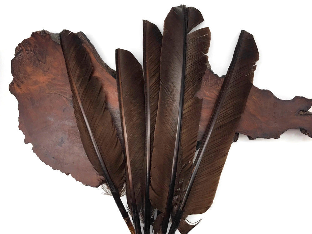 1/4 Lb - Brown Turkey Pointers Quill Large Wholesale Feathers (Bulk)