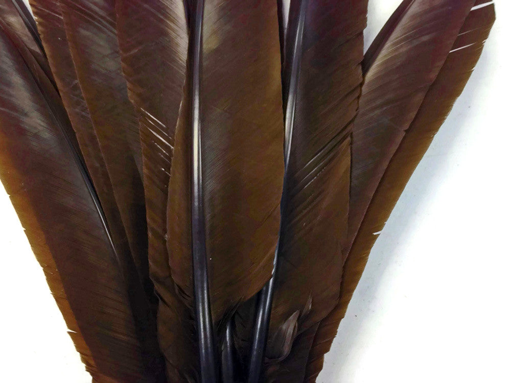 6 Pieces - Brown Turkey Pointers Primary Wing Quill Large Feathers