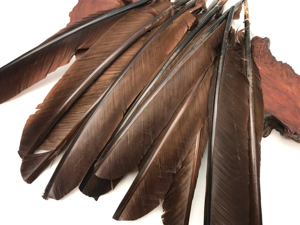 1/4 Lb - Brown Turkey Pointers Quill Large Wholesale Feathers (Bulk)