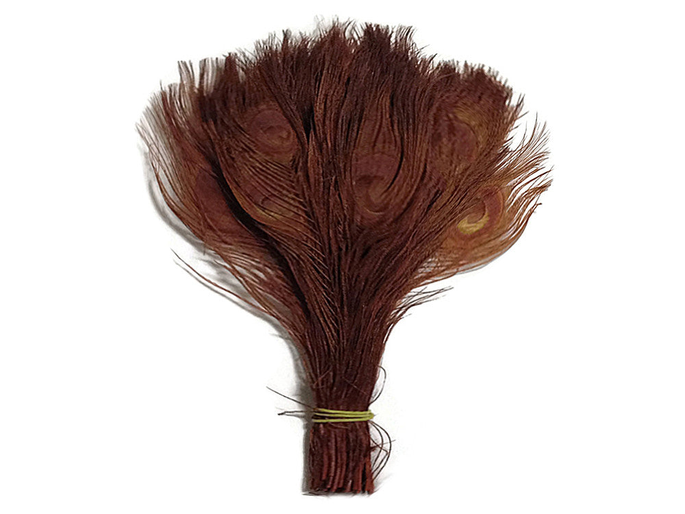 5 Pieces – Chocolate Brown Bleached & Dyed Peacock Tail Eye Feathers 10-12” Long 