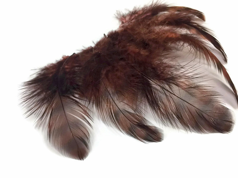 10 Pieces - Brown Dyed Grizzly Hen Saddle Feather