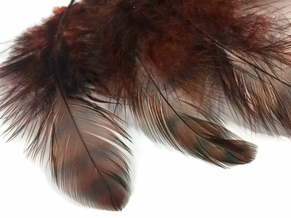 10 Pieces - Brown Dyed Grizzly Hen Saddle Feather