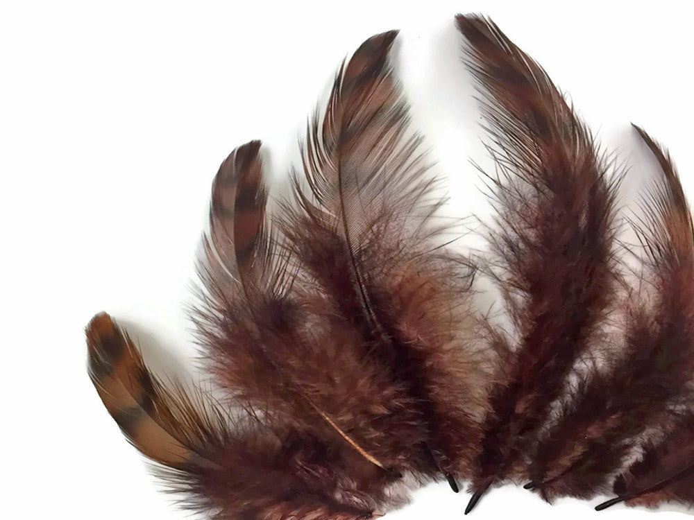 10 Pieces - Brown Dyed Grizzly Hen Saddle Feather