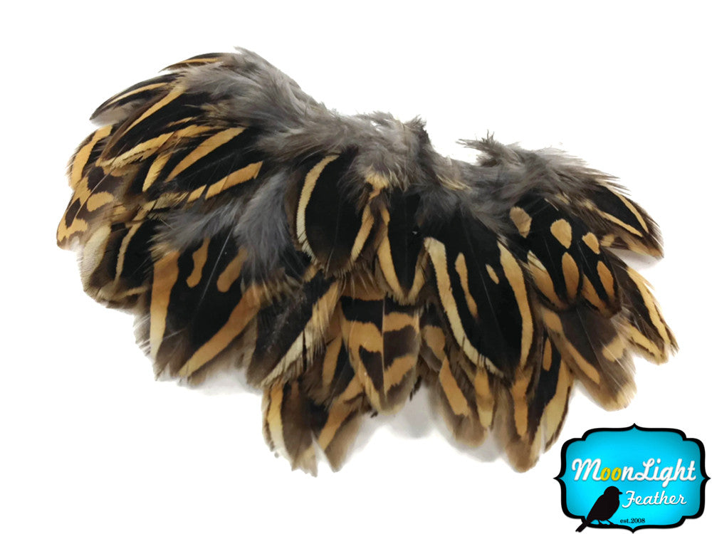 10 Pieces - Natural Brown Partridge Small Plumage Feathers