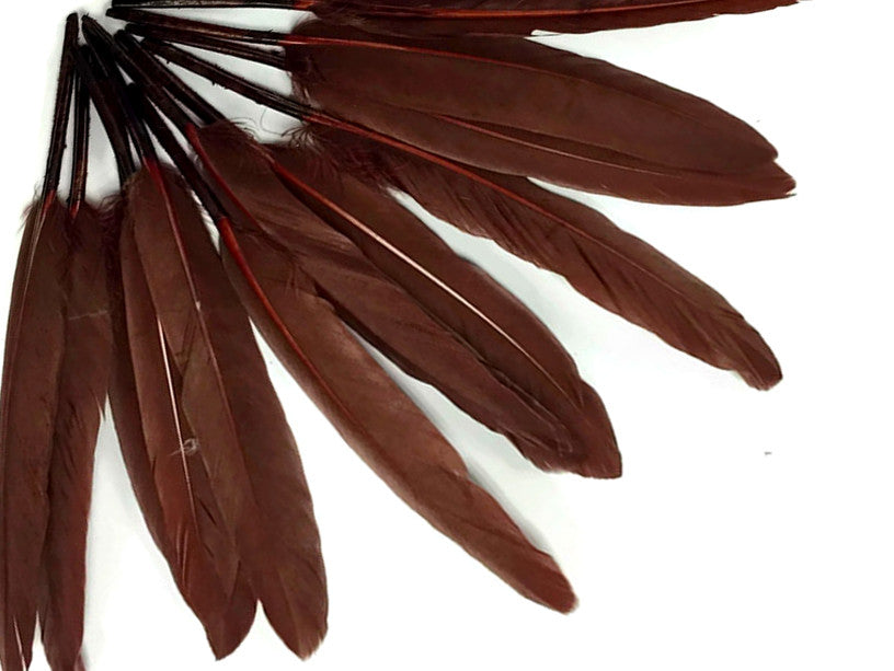 1/4 Lb. - Brown Dyed Duck Cochettes Loose Wing Quill Wholesale Feather (Bulk)