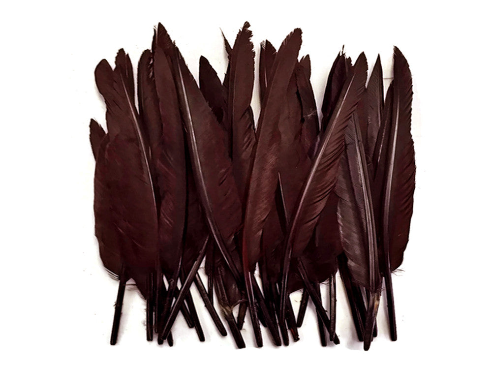 1/4 Lbs - Brown Duck Pointer Primary Wing Wholesale Feathers (Bulk)