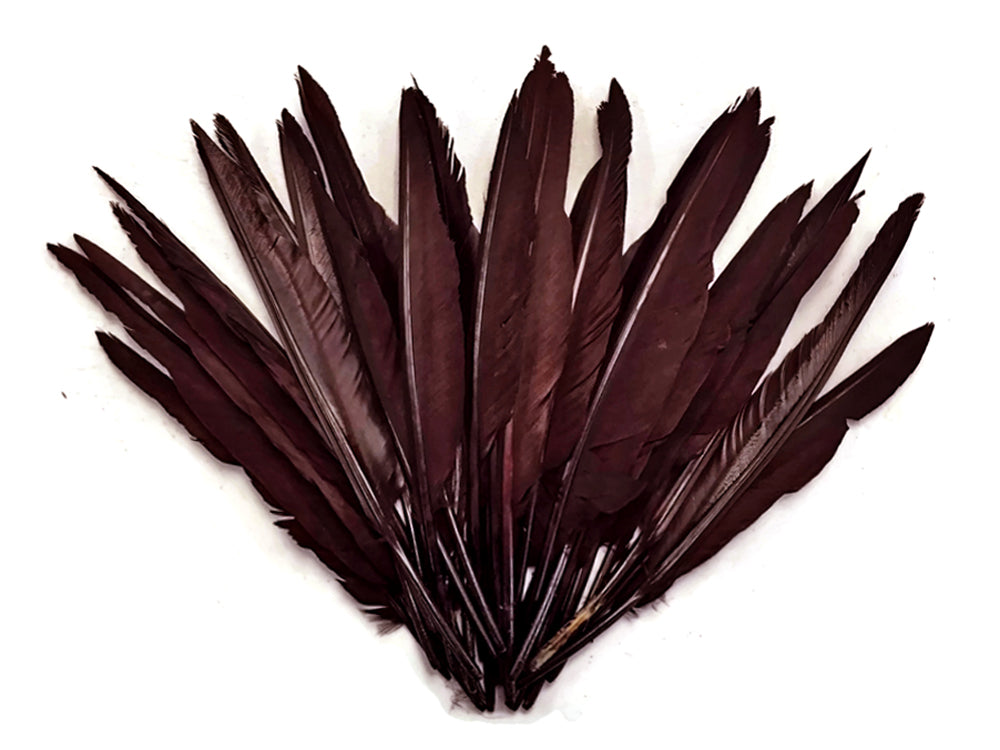 1 Pack - Brown Duck Primary Wing Pointer Feathers 0.50 Oz.