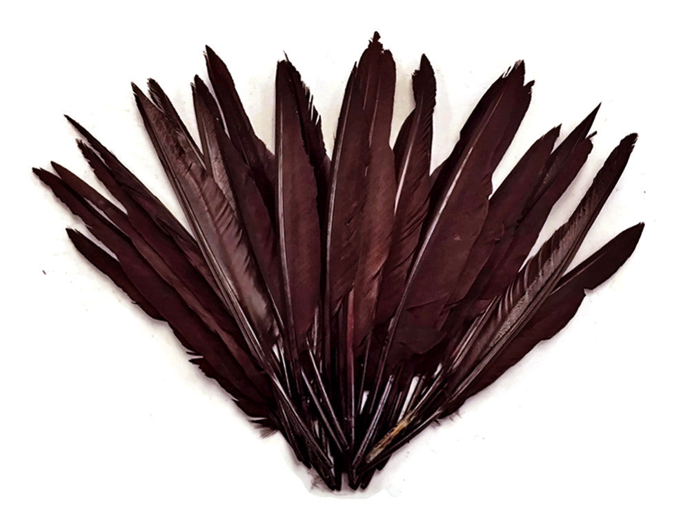 1/4 Lbs - Brown Duck Pointer Primary Wing Wholesale Feathers (Bulk)