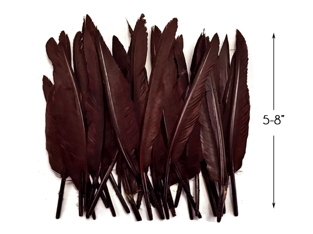 1/4 Lbs - Brown Duck Pointer Primary Wing Wholesale Feathers (Bulk)