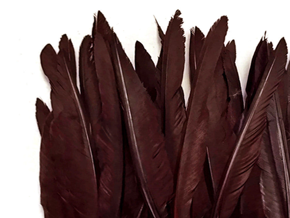 1/4 Lbs - Brown Duck Pointer Primary Wing Wholesale Feathers (Bulk)