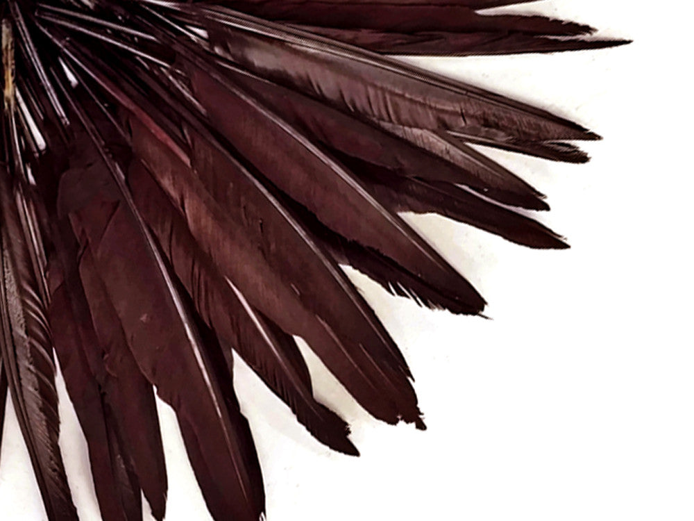 1/4 Lbs - Brown Duck Pointer Primary Wing Wholesale Feathers (Bulk)