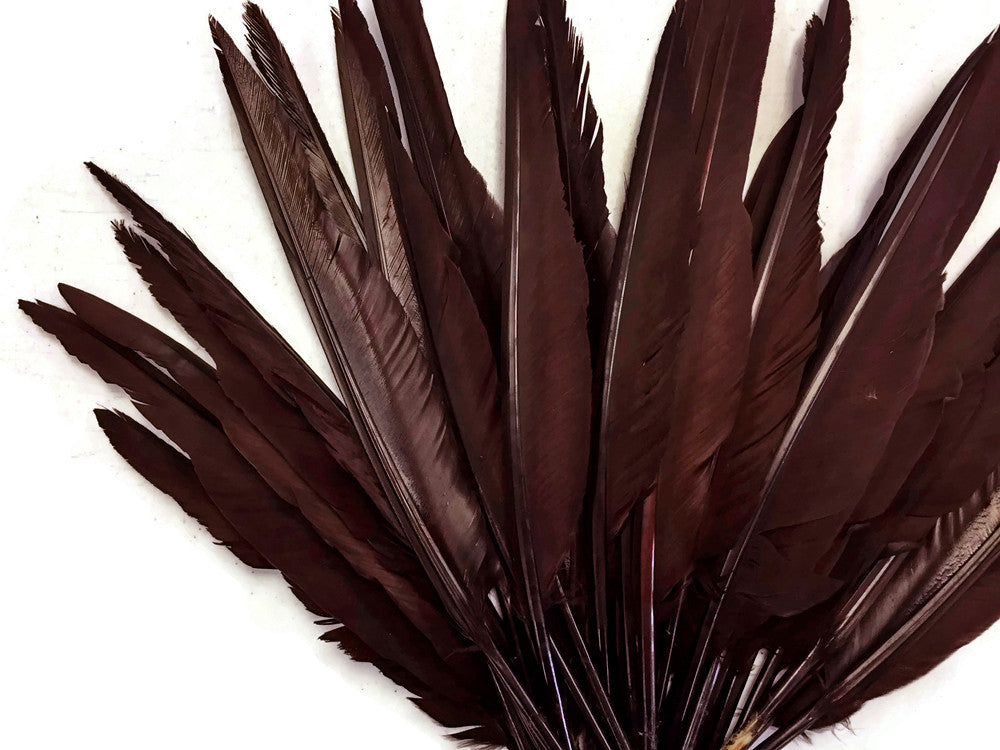 1/4 Lbs - Brown Duck Pointer Primary Wing Wholesale Feathers (Bulk)