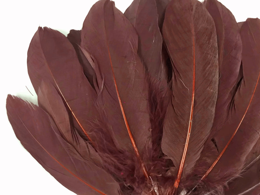 1 Pack - Brown Goose Satinettes Pallet Soft Wing Quill Loose Feathers - 0.3 Oz