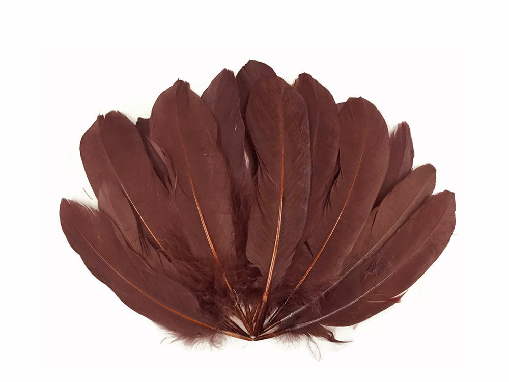 1 Pack - Brown Goose Satinettes Loose Feathers 0.3 Oz.