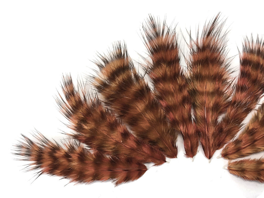 1 Dozen - Brown Grizzly Mini Rooster Chickabou Fluff Whiting Hair Feathers