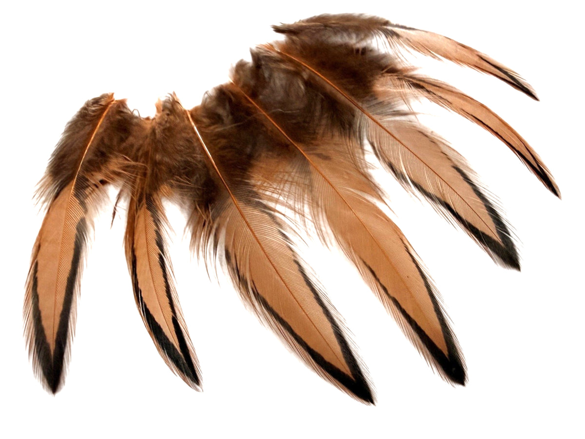 1 Dozen - Golden Brown Whiting Farms BLW Laced Hen Cape Loose Feathers
