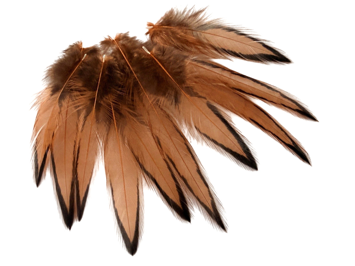 1 Dozen - Golden Brown Whiting Farms BLW Laced Hen Cape Loose Feathers