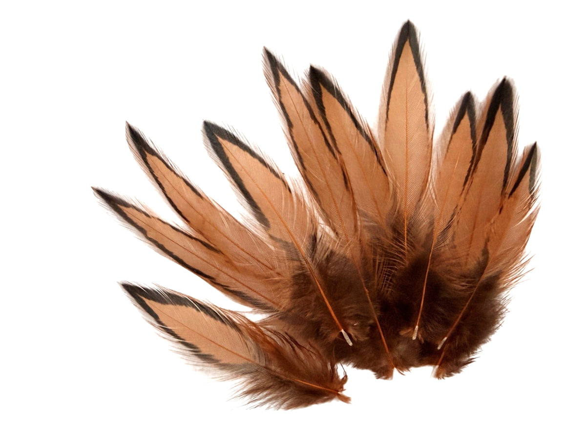 1 Dozen - Golden Brown Whiting Farms BLW Laced Hen Cape Loose Feathers