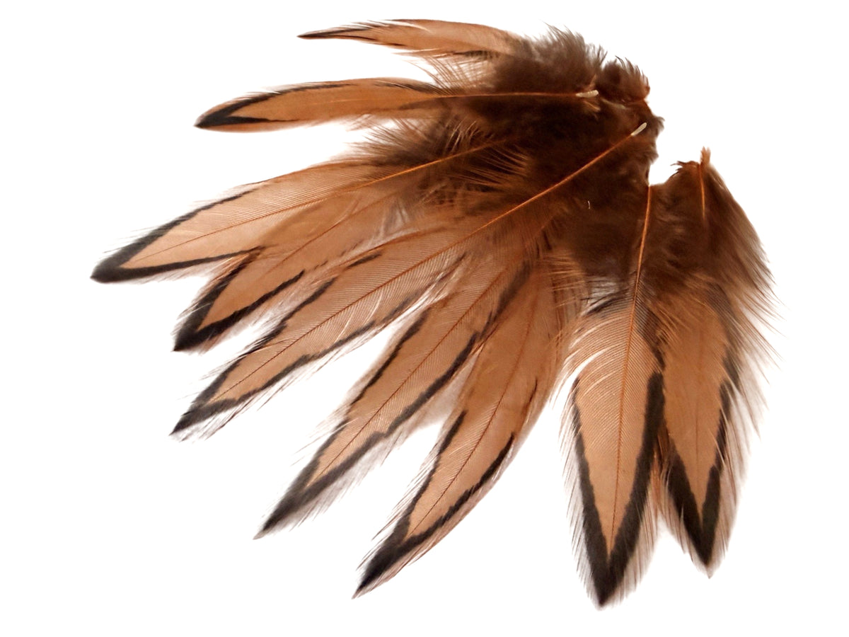 1 Dozen - Golden Brown Whiting Farms BLW Laced Hen Cape Loose Feathers