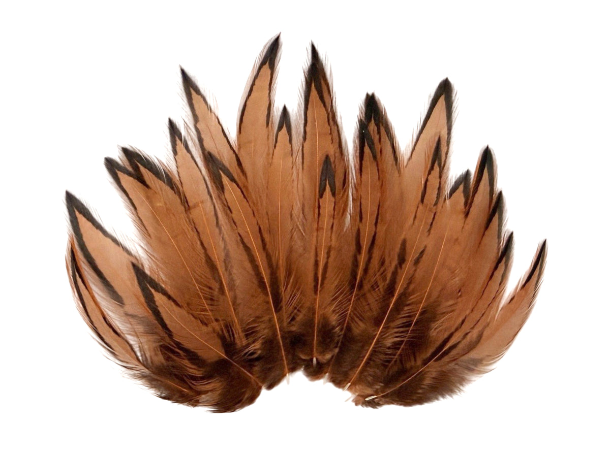 1 Dozen - Golden Brown Whiting Farms BLW Laced Hen Cape Loose Feathers